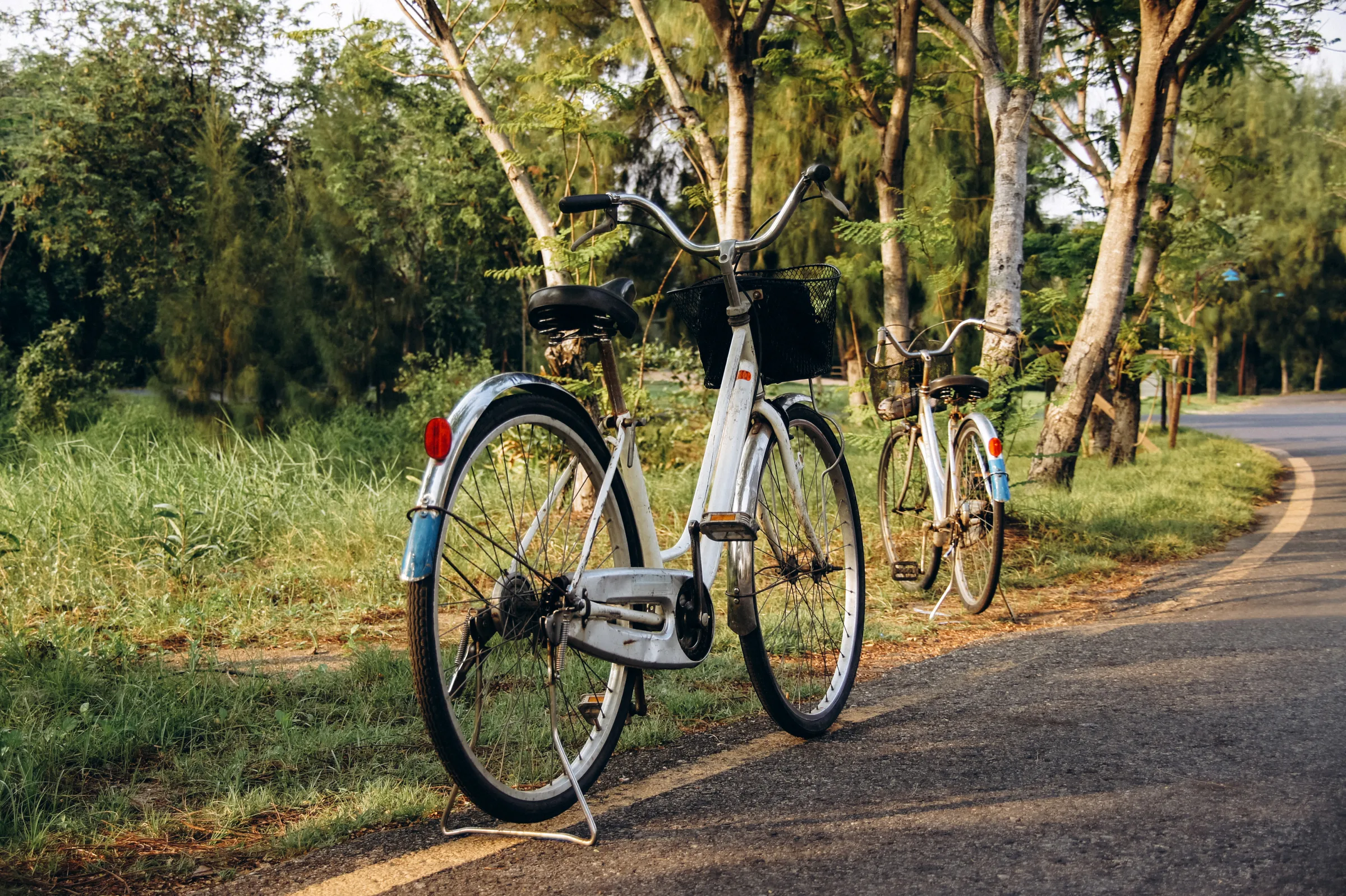 Twee fietsen langs een groen fietspad tussen de bomen.