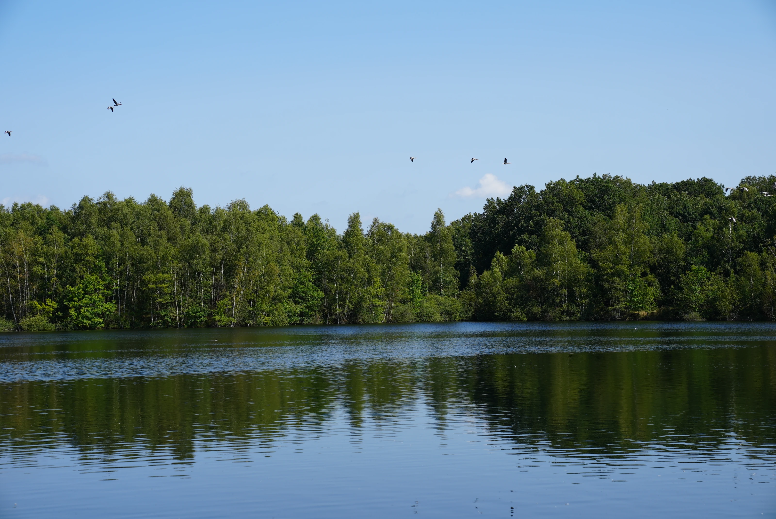 Een stil meer in de natuur rondom Cozmoss